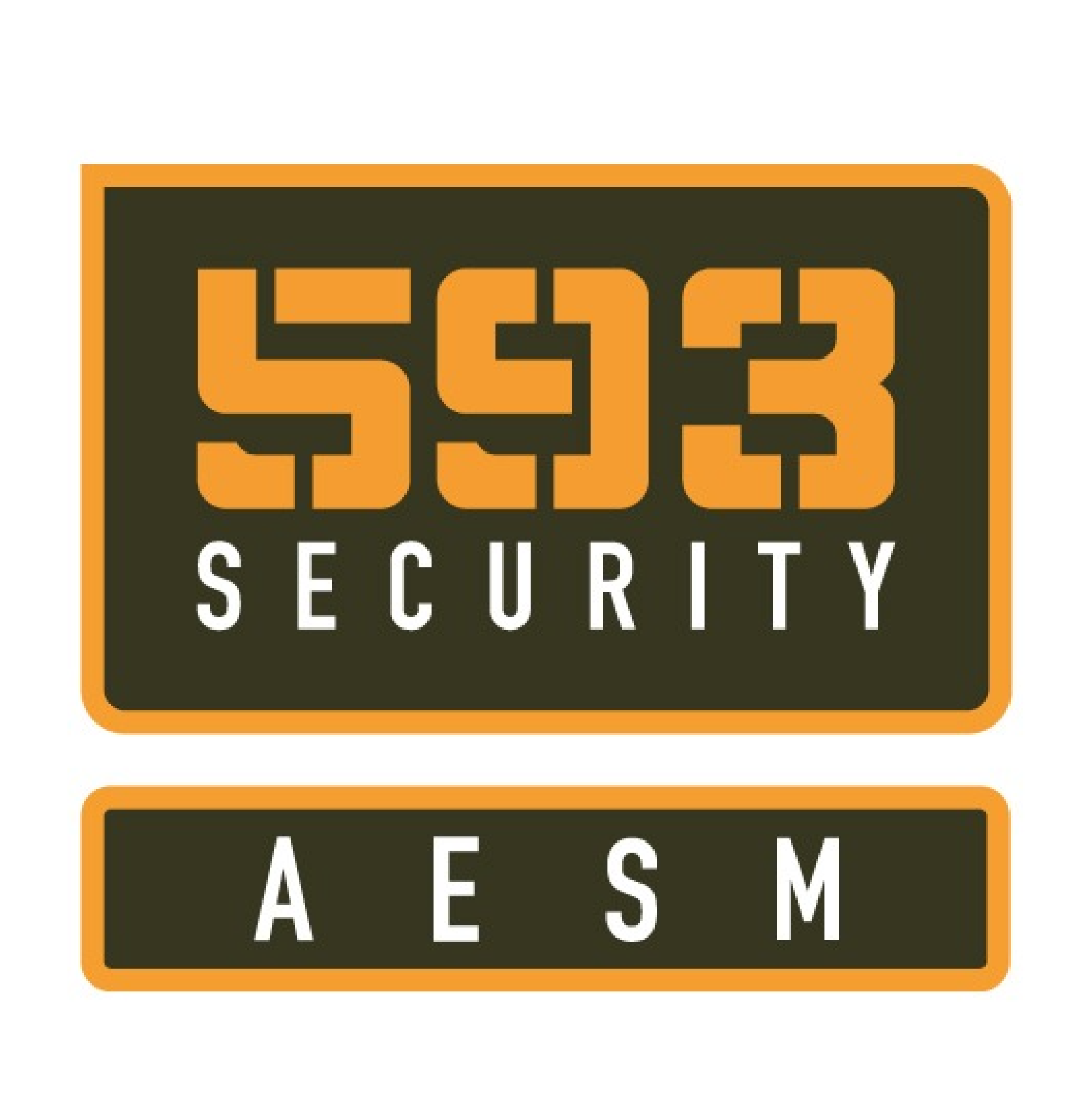 593 SECURITY